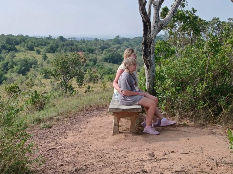 Shimba Hills Day Trip from Diani Beach with Diani Magical Tours — guided safari adventure, scenic rainforest views, wildlife encounters, and Sheldrick Falls experience in Kenya.