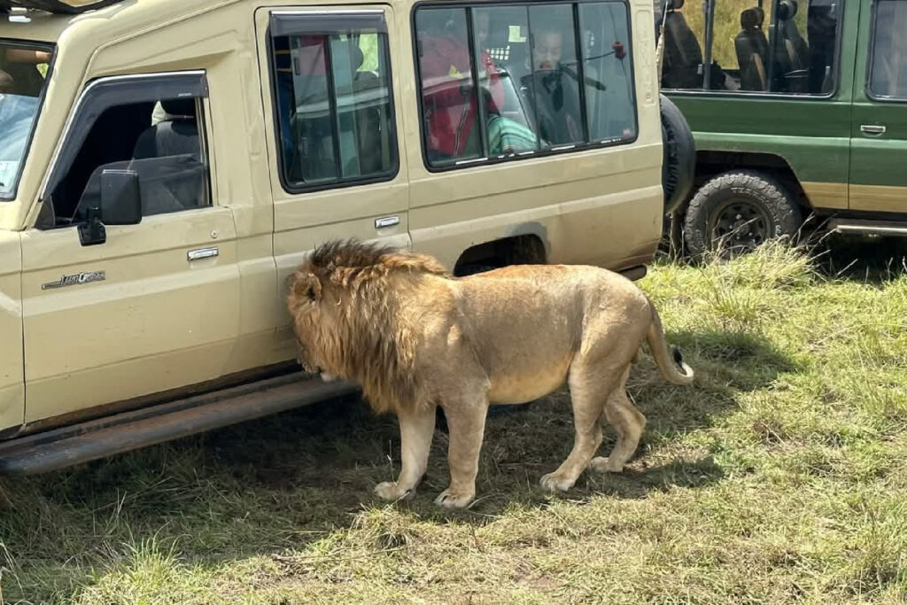 Bora Bora Wildlife Park