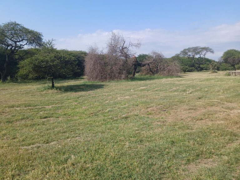 Nguuni Nature Sanctuary